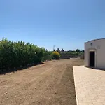 Trullo E Depandance Palma Locorotondo